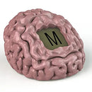 Brain Fart General Knowledge Board Game