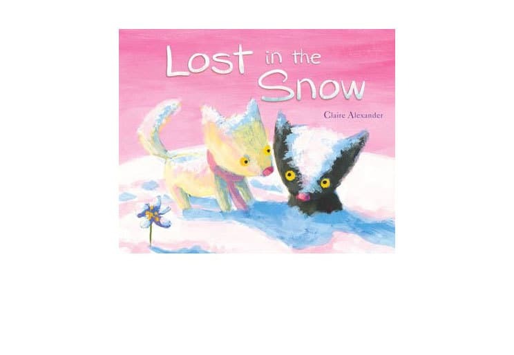 Lost In The Snow