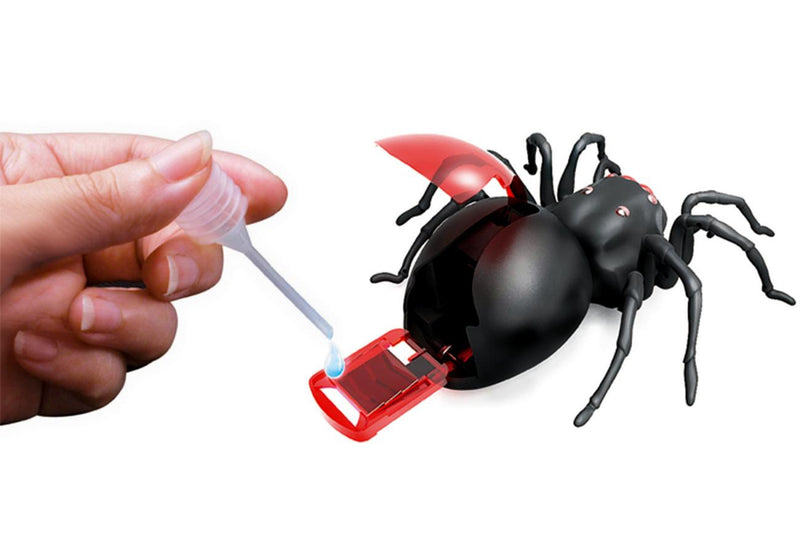 Salt Water Powered Spider Kit