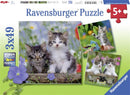3x49 Piece Kittens Jigsaw Puzzle