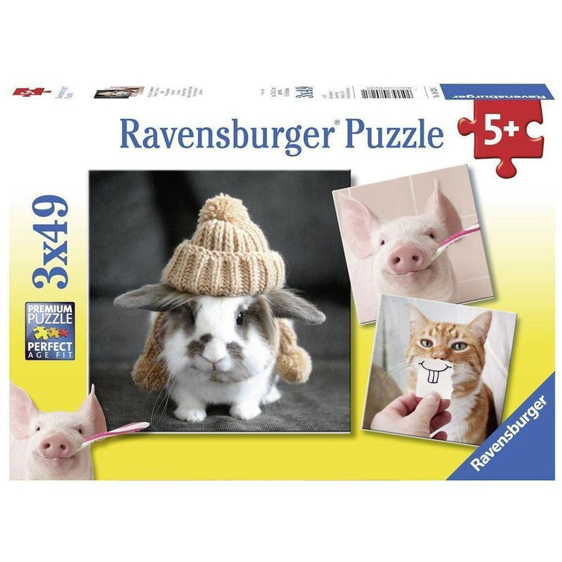 3x49 Piece Funny Animal Portraits Jigsaw Puzzle
