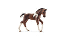 Trakehner Foal by Schleich