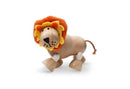 Wooden Lion by Anamalz