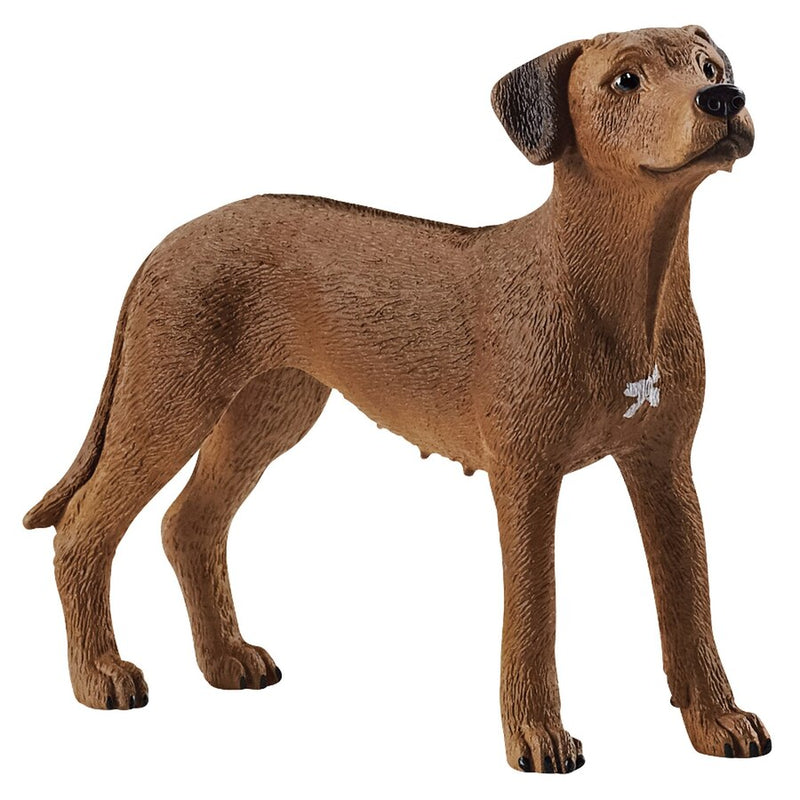 Rhodesian Ridgeback Farm World Schleich Figurine - 13895