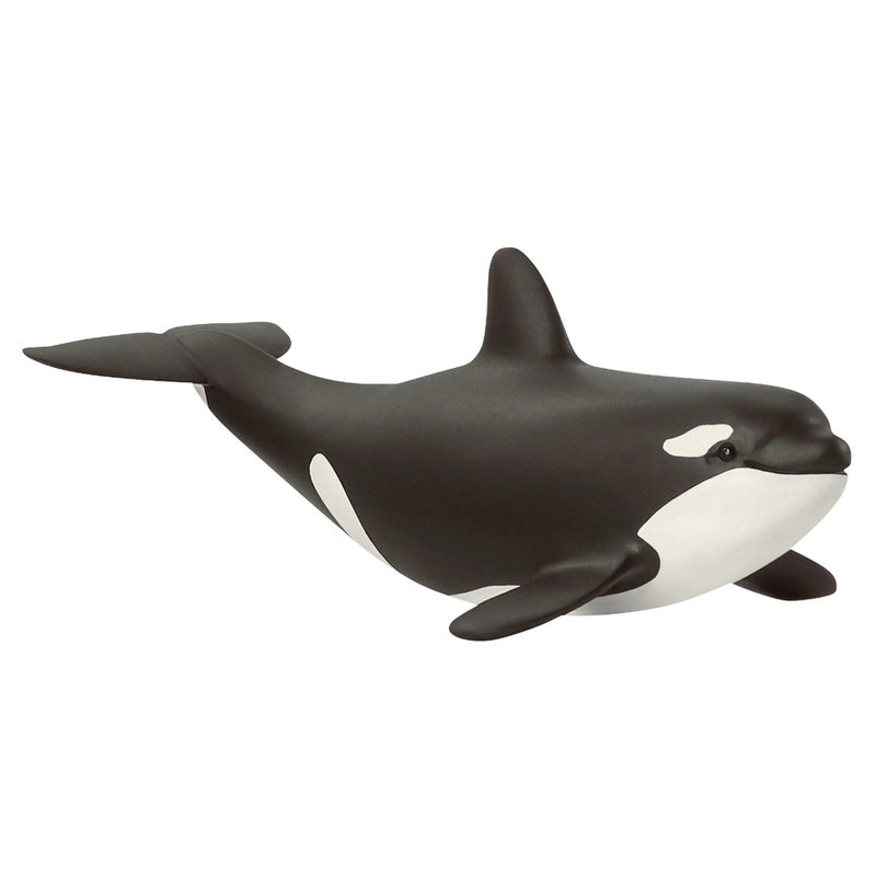 Baby Orca Wild Life Schleich Figurine - 14836