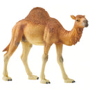 Dromedary Wild Life Schleich Figurine - 14832